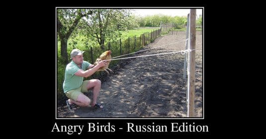 Демотиваторы Angry Birds
