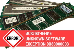 :  Unknown software exception 0x80000003