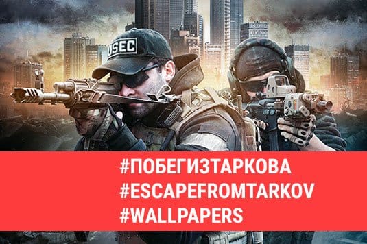    (Escape from Tarkov): 