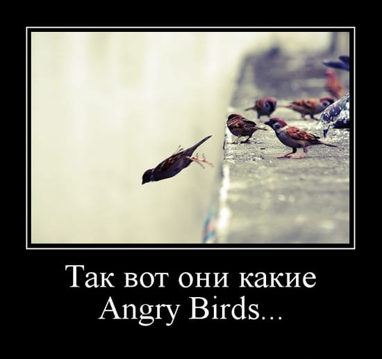    ! Angry Birds