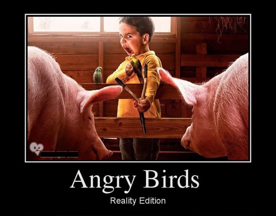 Angry Birds Reality Edition